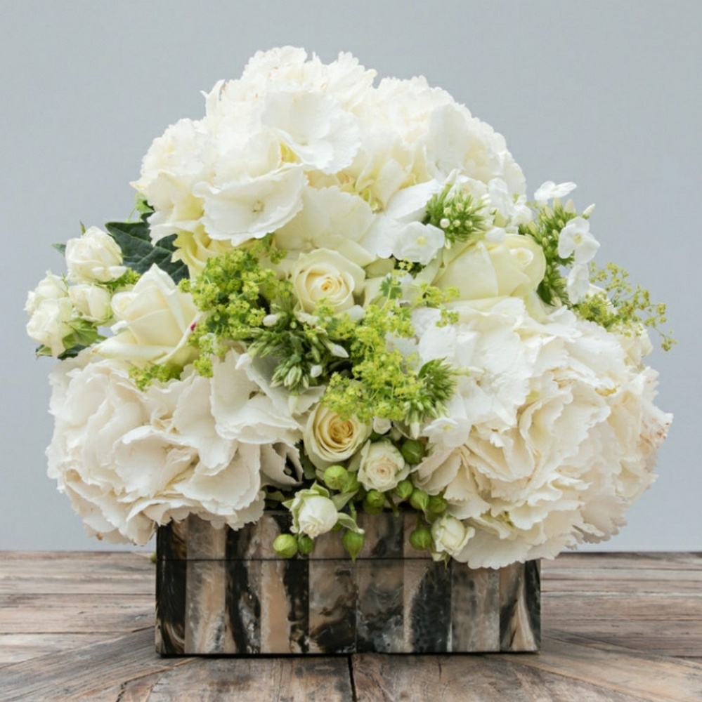 Meet your Posher, Ela